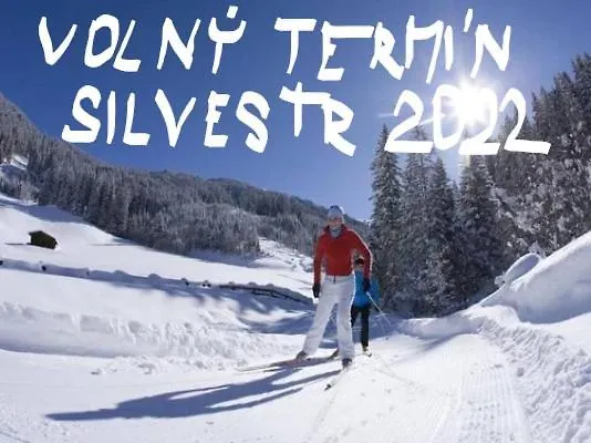 Вилла Dum Nad Prznem *